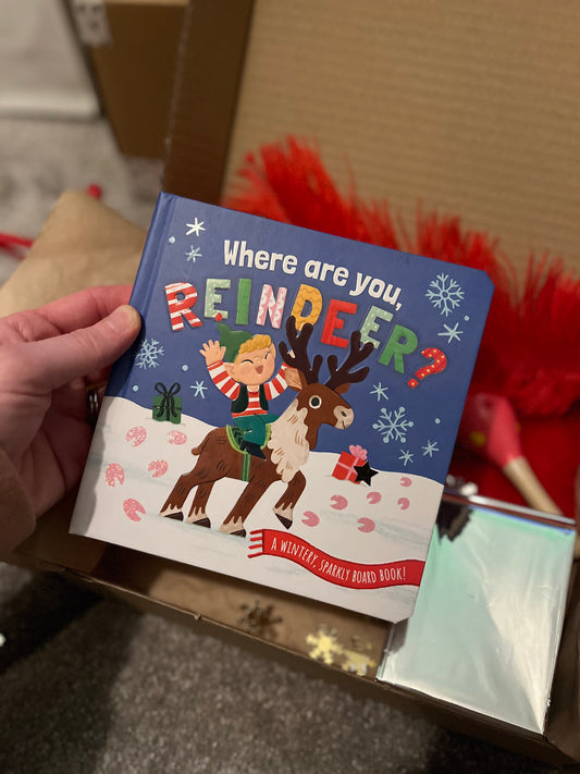 Christmas Sensory Box