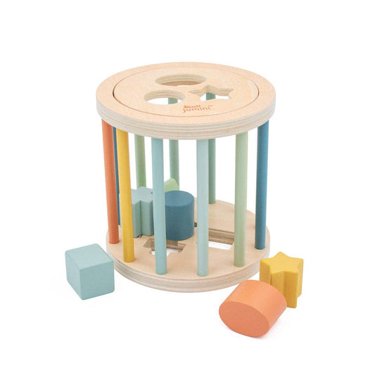 Wooden shape sorter toy with colorful cylindrical and block pieces on a white background