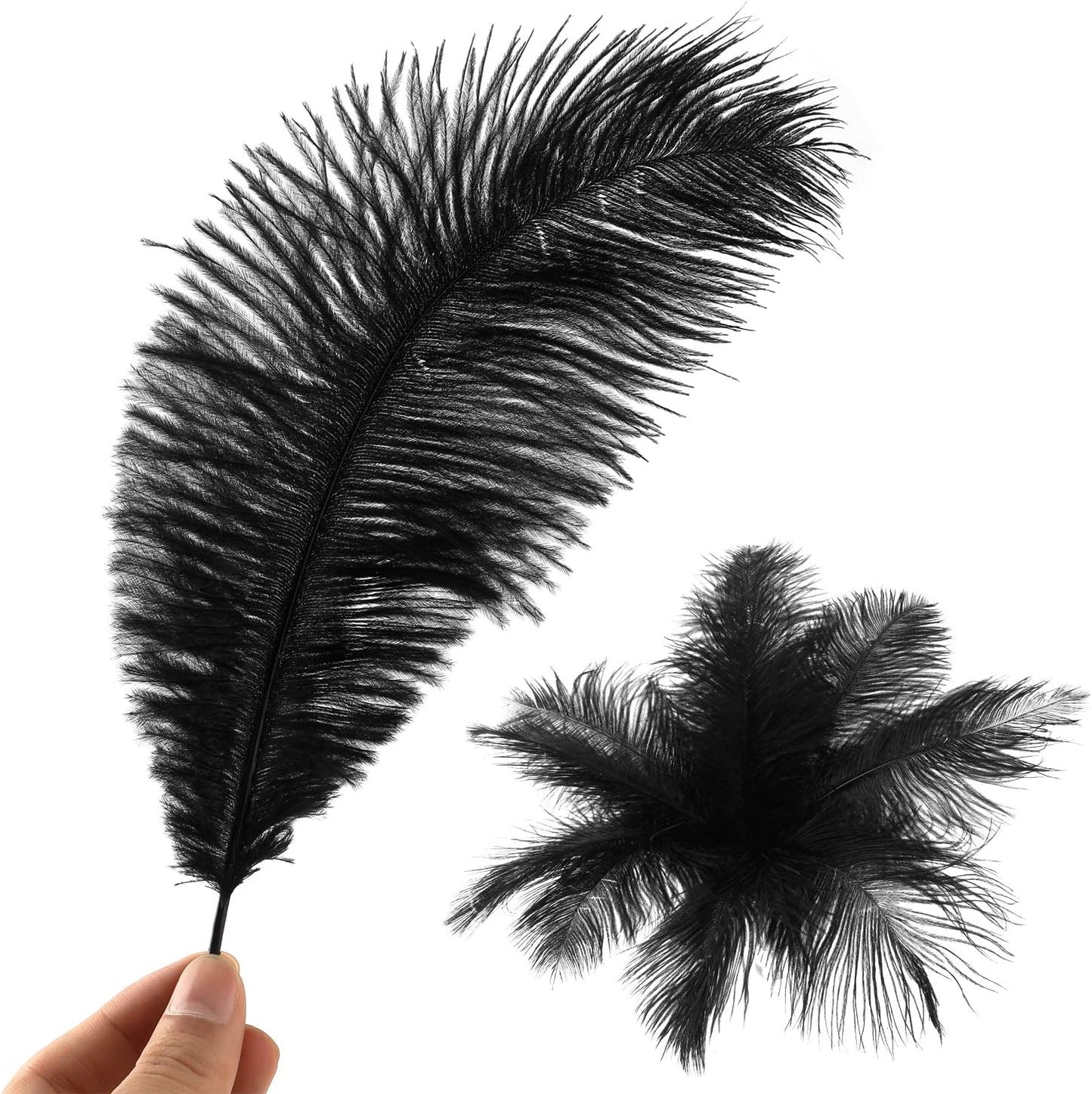 Black & White Sensory Box