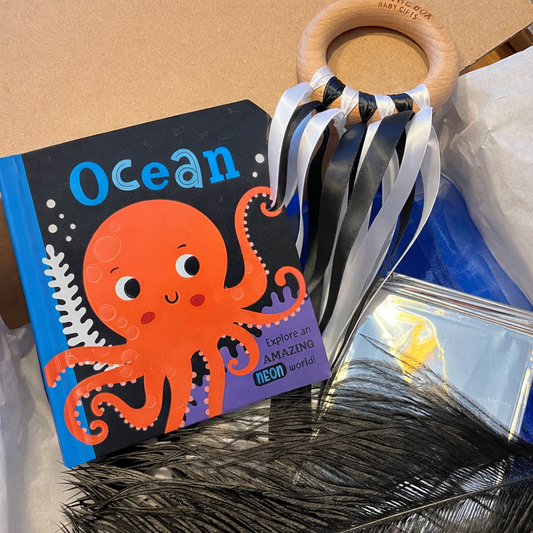 Black & White Sensory Bag