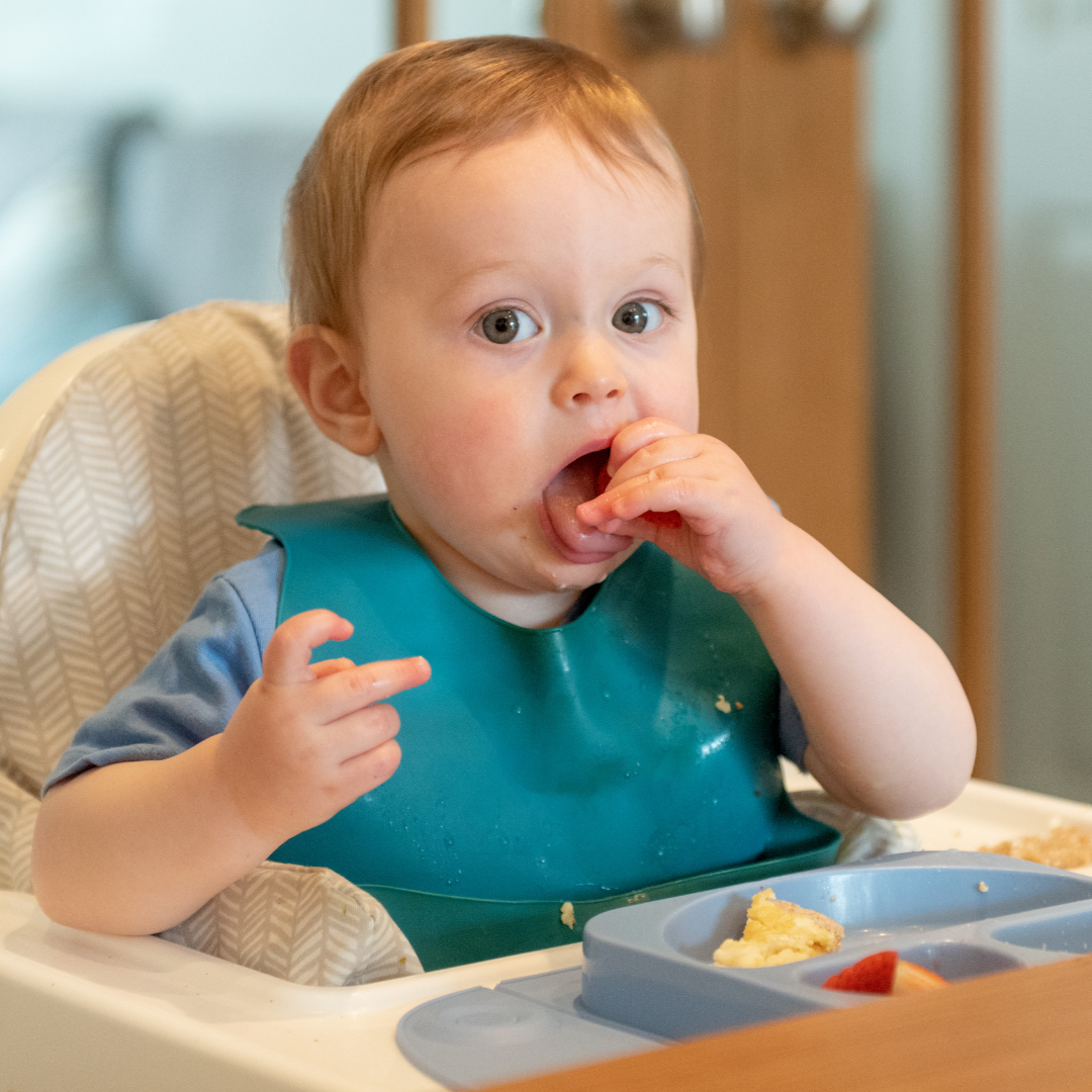 Baby in a high chair with a blue bib eating from a tray.