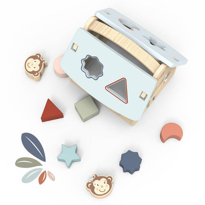 Wooden shape sorter toy with colourful shapes on a white background
